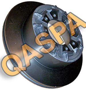 QAIV010006