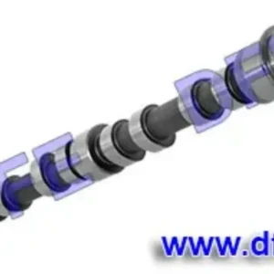 504246093 MK667942